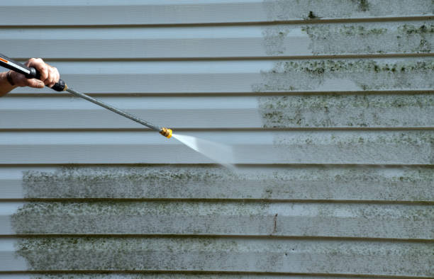 Best Mold Damage Repair  in Lewiston, ME