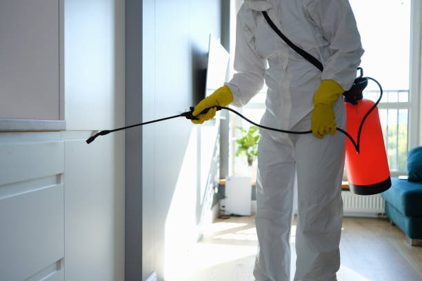 Professional Mold Removal in Lewiston, ME